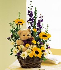 Basket & Cuddly Animal
