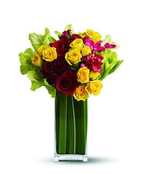 Island Blooms