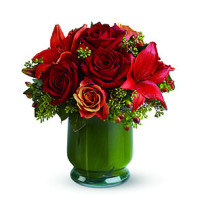 Renaissance Roses