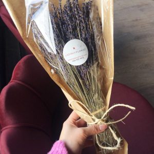 Dried Florals/Botanicals