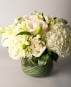 Classic White