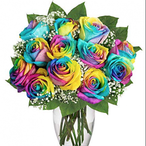 Rainbow Roses - 1 dozen
