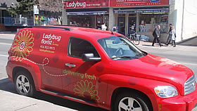Ladybus from Ladybug Florist