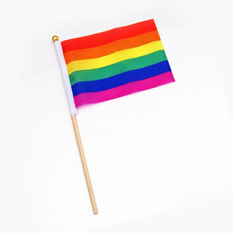 Petite Pride flag