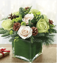 Green Cozy Christmas