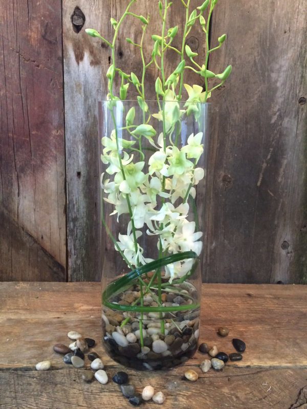White orchid vase