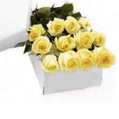Classic boxed roses - Yellow
