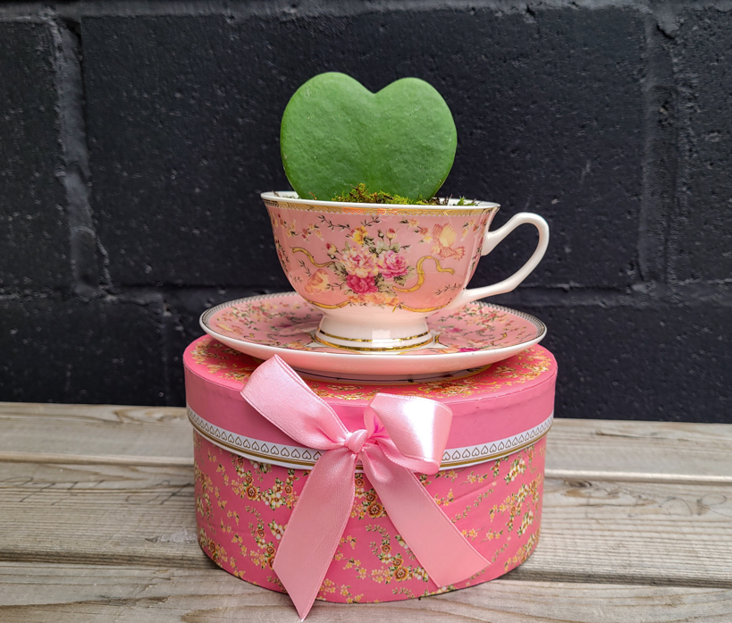 White Expressions Basket Ladybug Florist