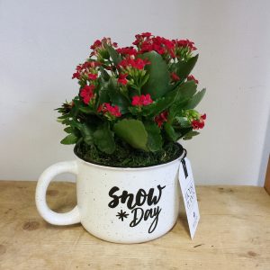 Cozy Christmas Mug - Planter
