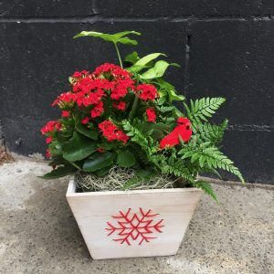Holiday Cheer Planter