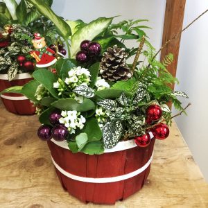 Holiday Cheer Planter