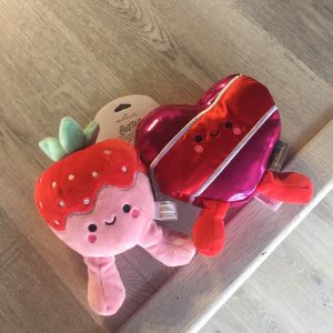 Strawberry & Chocolates Plush Duo