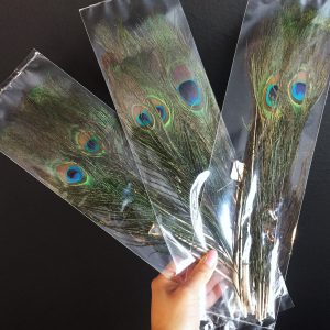 Peacock Feathers - Set of 3