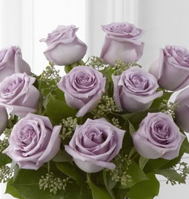 lavenderroses