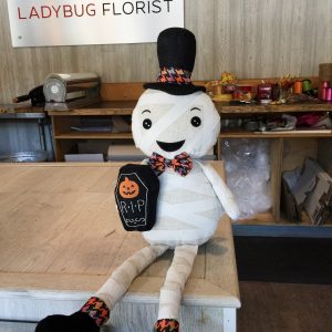 Malcolm the Mummy - Plush