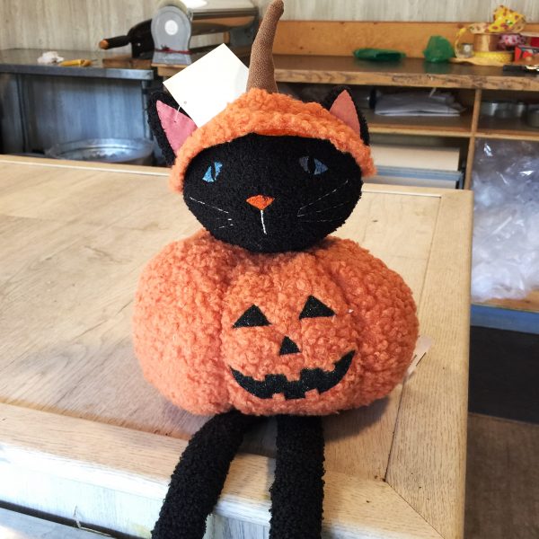 pumpkincat