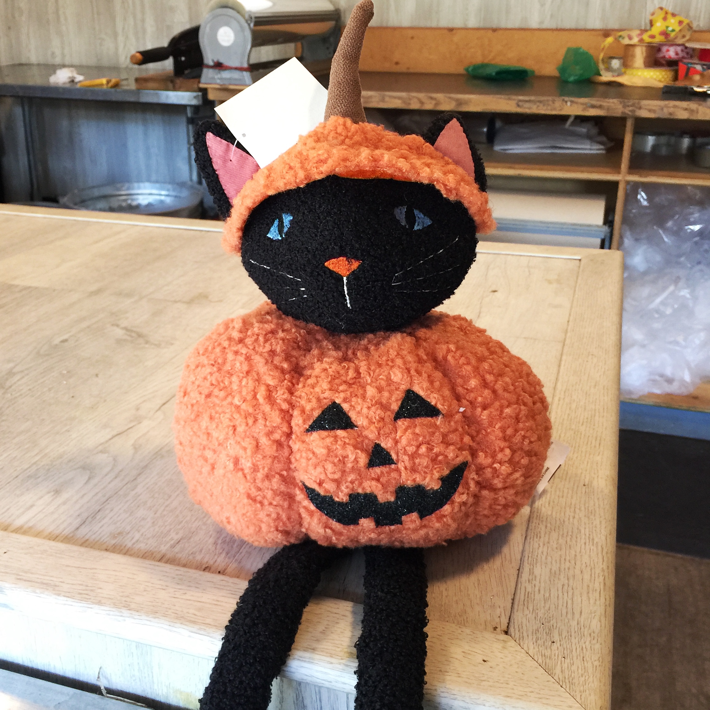 pumpkincat