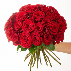 Soho Red Deluxe – Two Dozen Red Roses