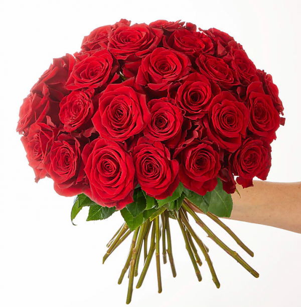 twodozenroses