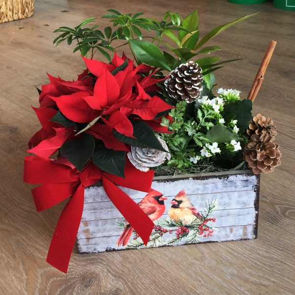 xmas planter1