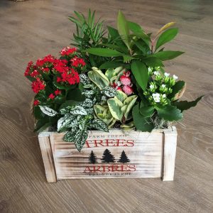 Farm Fresh Holiday Planter