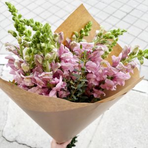 Snazzy Snapdragon Bouquet