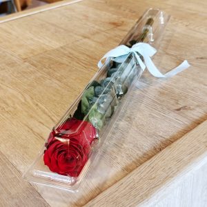 Classic Boxed Single Rose
