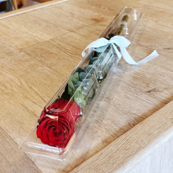 boxedrosesingle