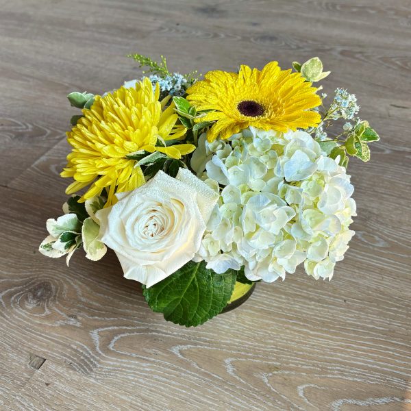 blueandyellow