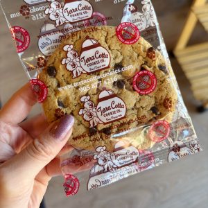 Chocolate Chip DeLite - Terra Cotta Cookie